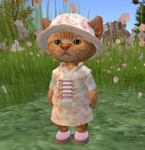 Dinkie Pink Print Mini