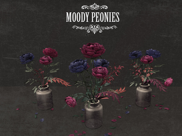 NOMAD // MOODY PEONIES