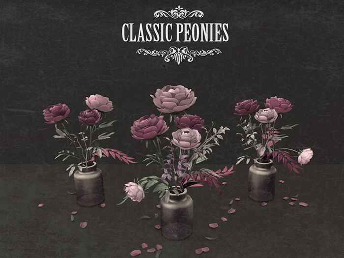 NOMAD // CLASSIC PEONIES