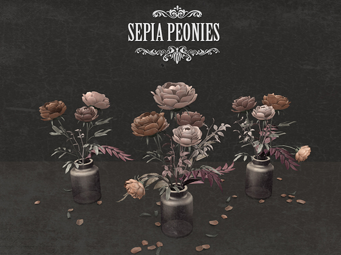 NOMAD // SEPIA PEONIES