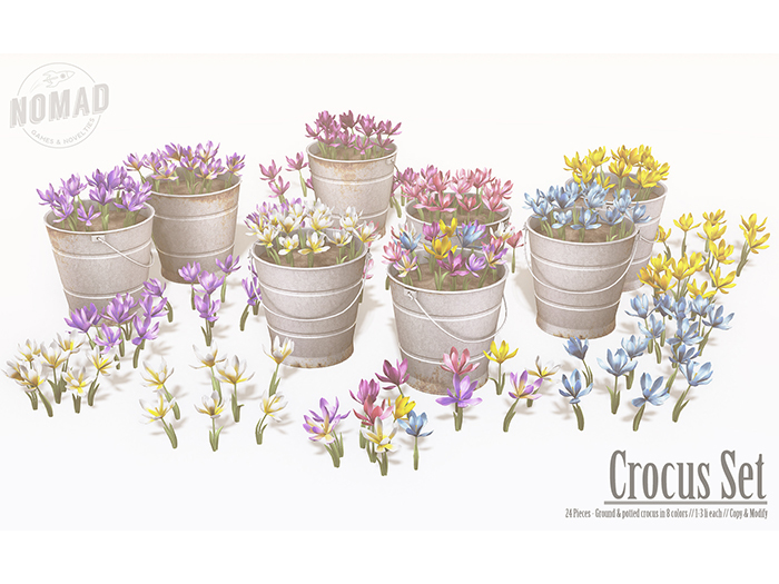 NOMAD // CROCUS SET