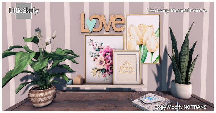 VALENTINE FRAMES / PICTURE FRAMES