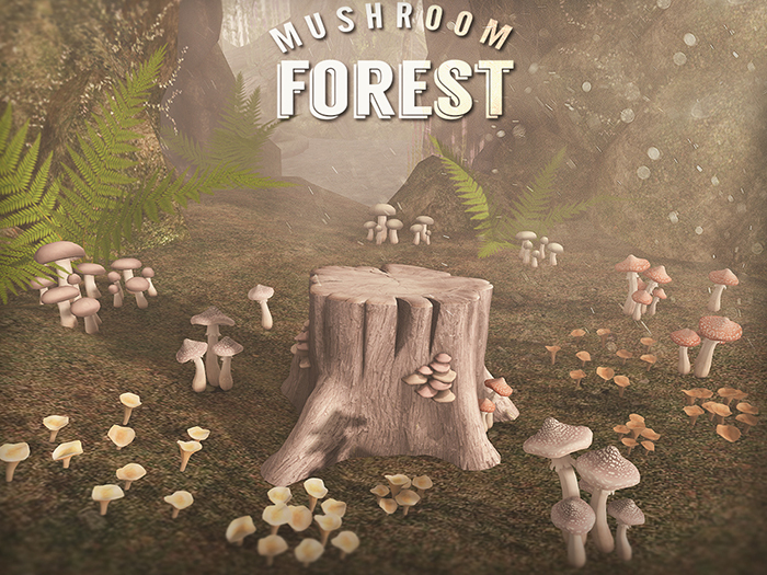 NOMAD // MUSHROOM FOREST