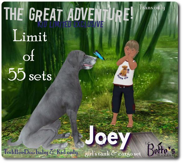 LBw The great adventure! Joey {Boxed} TD Only