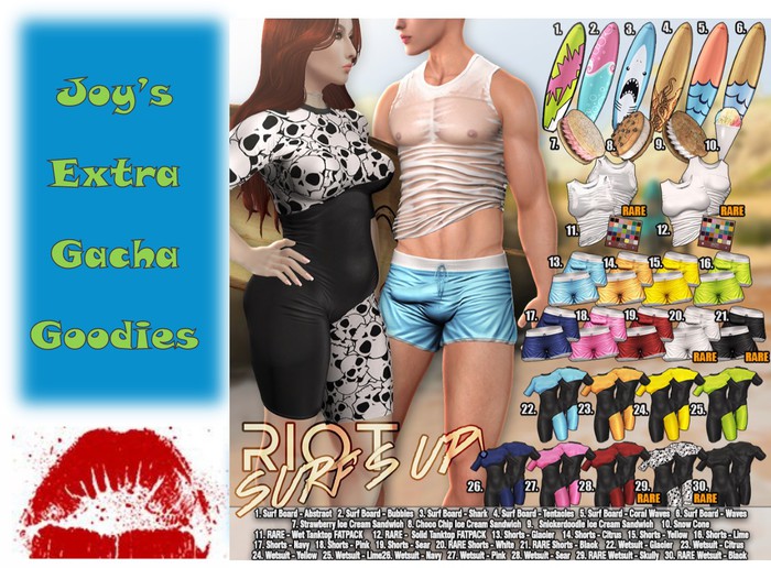 09. RIOT / Surfs Up Snacks - Snickerdoodle  Icecream Sandwich