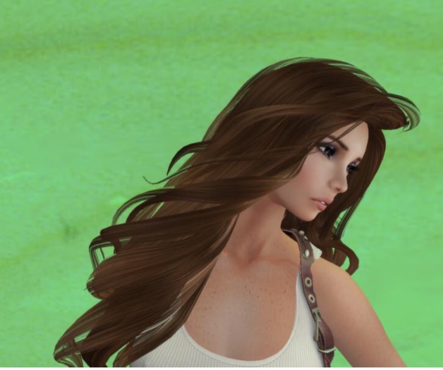 Long Hair Light Brown