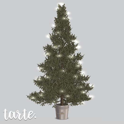 tarte. portland christmas tree (evergreen)