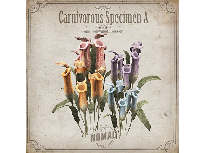 NOMAD // CARNIVOROUS SPECIMEN A