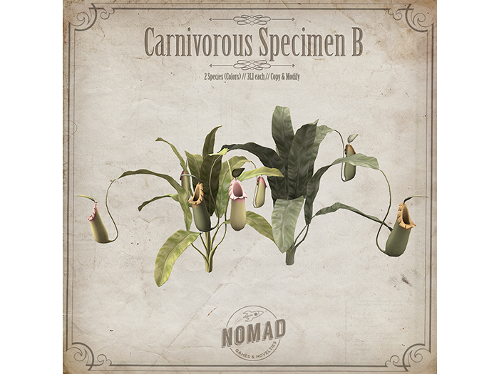 NOMAD // CARNIVOROUS SPECIMEN B