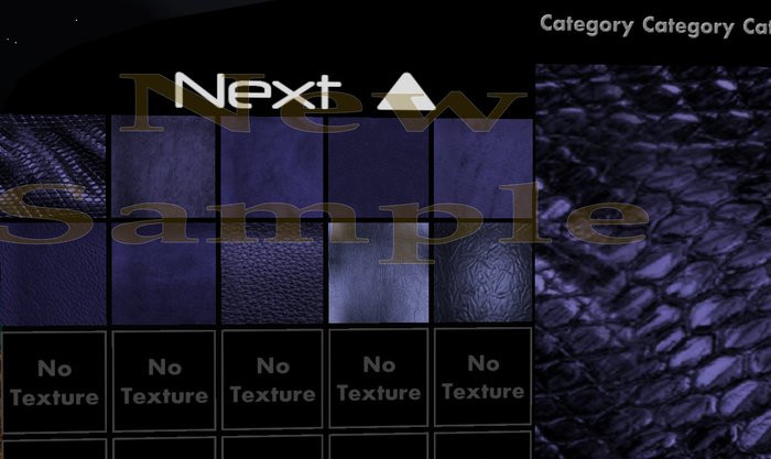 CST Leather 2