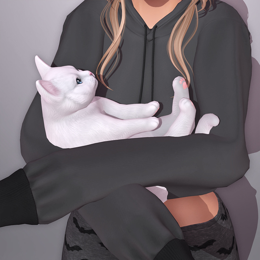 Sweet Thing. Cabootie Cat - Like a Bab (Static posed pet kitty, hold like a baby - 12 fur colors - optional boots)
