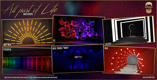 Dive - All Part Of Life - The Bearded Guy