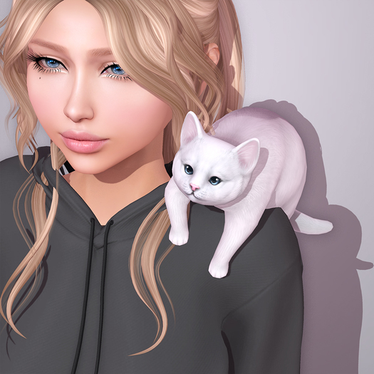 Sweet Thing. Cabootie Cat - Shoulder Bud (add)