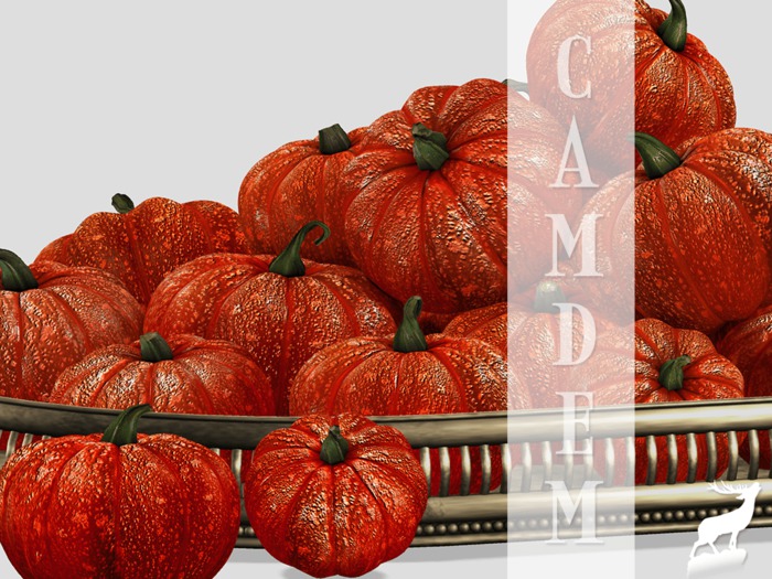 Camdem - Welcome Fall CRIMSON PACK