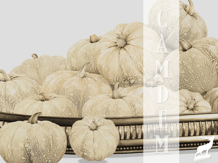 Camdem - Welcome Fall Ivory PACK