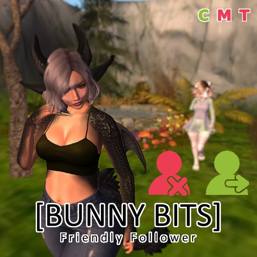 [BB] Friendly Follower - Follow HUD