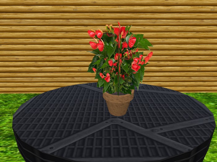 Mesh Anthurium Potted Plant
