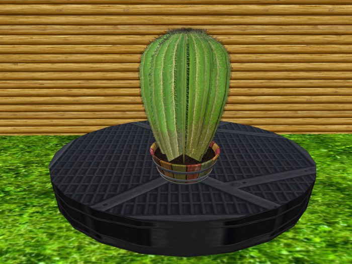 Mesh Arizona Barrel Cactus