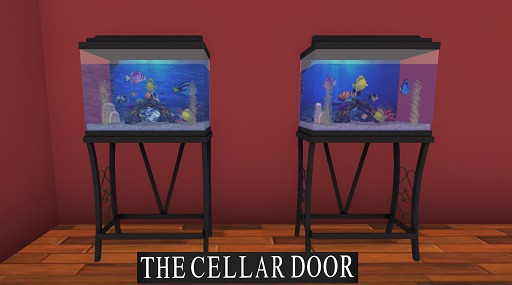 ~TCD~ Aquarium
