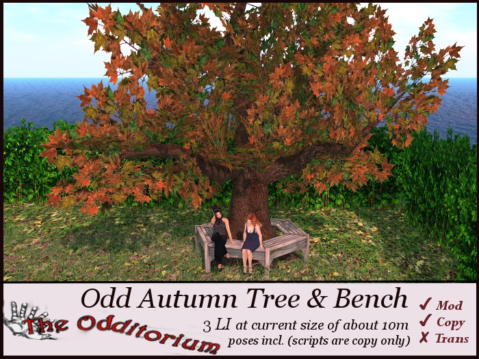 Odd Autumn Tree with Bench