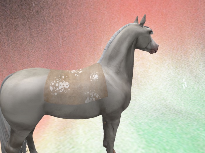 TH  Saddlepad Valentine 4