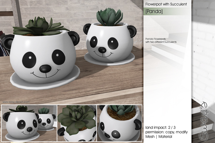 Sway's [Panda] Flowerpot with Succulent