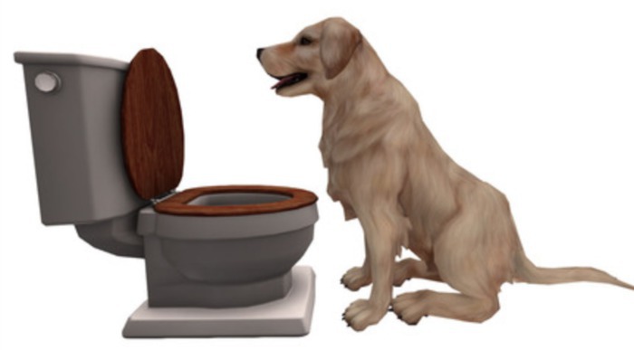 JIAN Lively Labs :: Thirsty Dog RARE