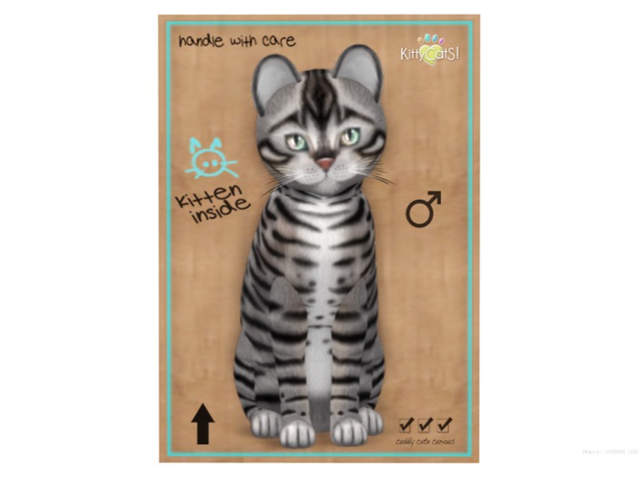 KittyCatS Box - 9 T - M - Toyger - Silver