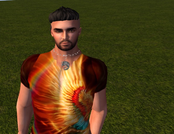 t_shirt phoenix 