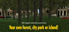 Bild1 forest