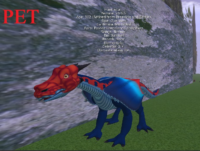 C & D Enterprises Dragon California Red-Sided ( pet )