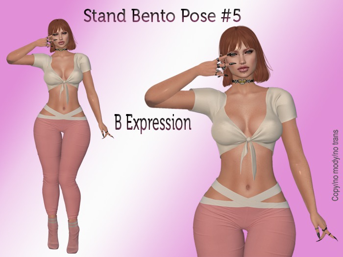 B Expression Stand Bento Pose #5 BOX