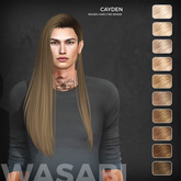 Wasabi // Cayden Mesh Hair - Blonds