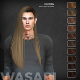 Wasabi // Cayden Mesh Hair - Browns