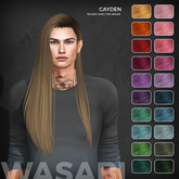 Wasabi // Cayden Mesh Hair - Fireworks