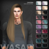 Wasabi // Cayden Mesh Hair - Lunar Ombre