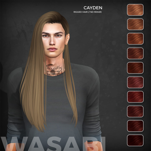 Wasabi // Cayden Mesh Hair - Reds