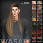 Wasabi // Cayden Mesh Hair - Solar Ombre