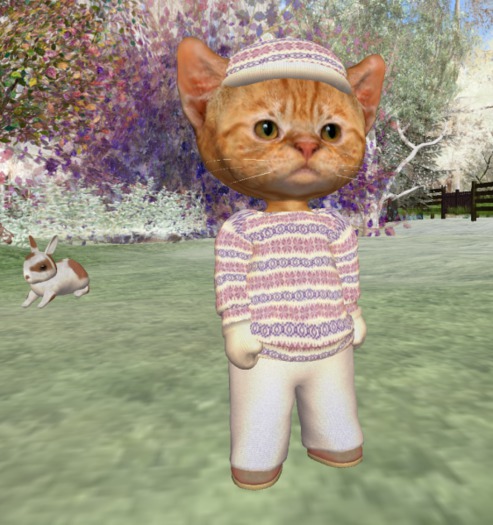 Dinkie Pink Fairisle