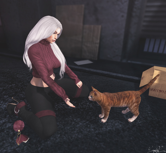 *!R.O!* Kitty BENTO Pose w/ Mesh Cat
