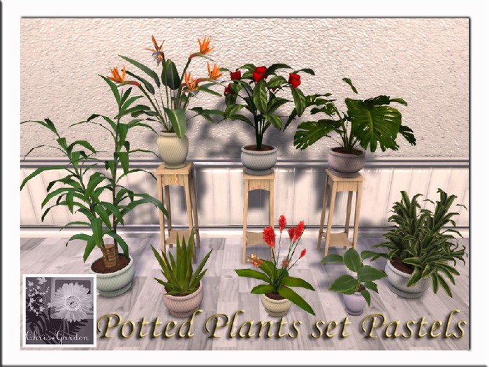 C*Potted  Plants set Pastels