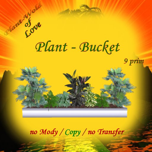 Plant- Bucket 7 plant