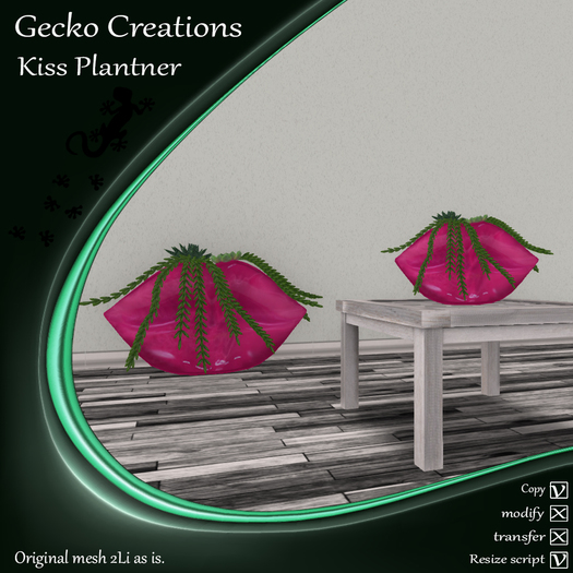 GC- Kiss Plantner Fuchsia Boxed