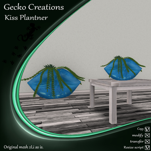 GC- Kiss Plantner Light Blue Boxed