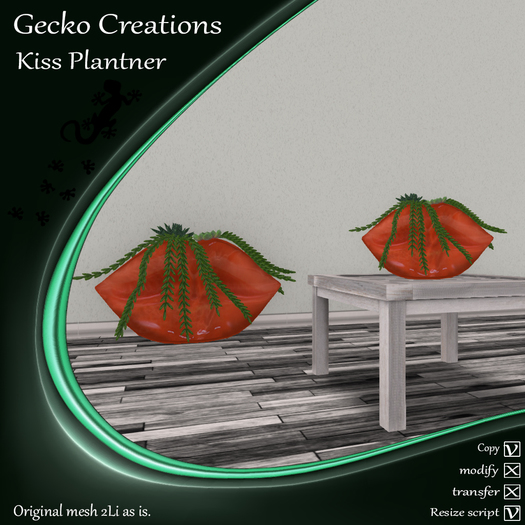 GC- Kiss Plantner Orange Boxed