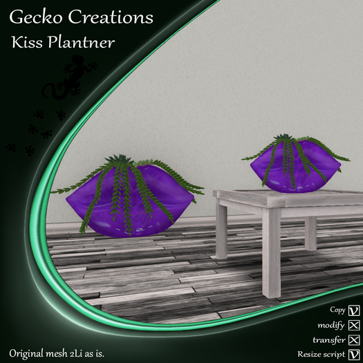 GC- Kiss Plantner Purple