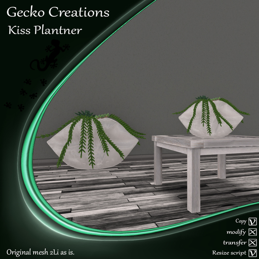 GC- Kiss Plantner White Boxed