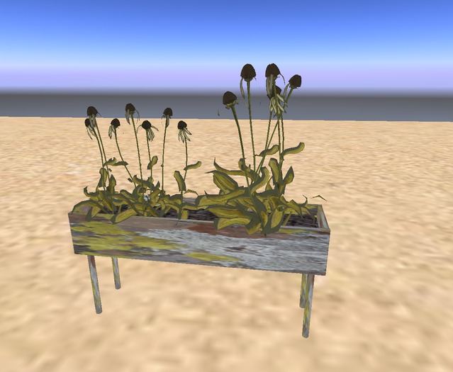 dead flowers