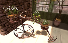 CJ Tricycle Planter with Snowdrops + anim. Bird