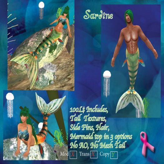 Sardine